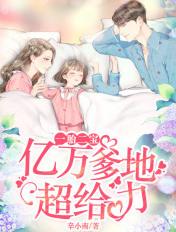 一胎二宝亿万首席宠妻入骨免费阅读