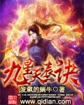 九星天辰诀叶辰的身份