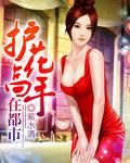 护花高手在都市加料版