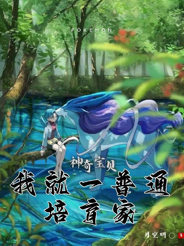 神奇宝贝之普通的训练家