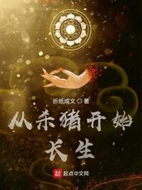 从杀猪开始修仙笔