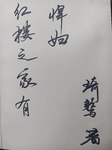 红楼之佳婿