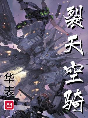 裂天空骑境界划分