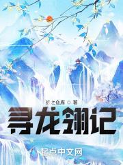 寻龙记 百科