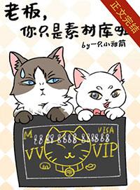 你就是老板