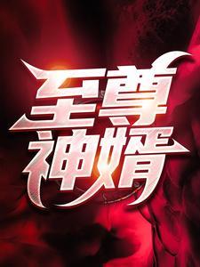 至尊神婿叶昊免费阅读完整版