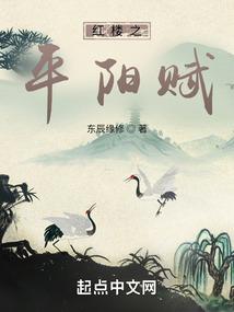 红楼之平阳赋简介