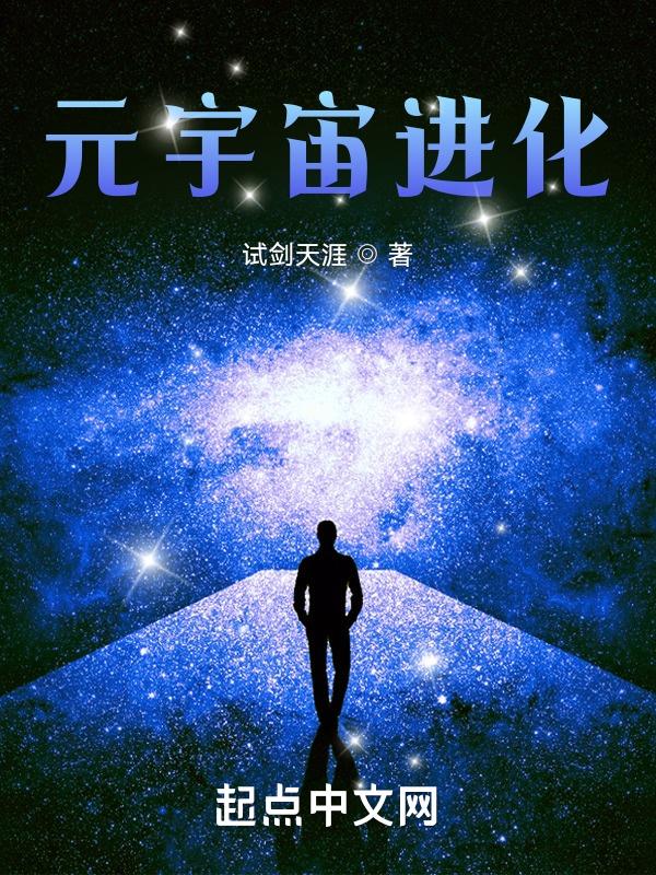 元宇宙进化等级