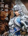 三国之巅峰召唤西方半玄高手