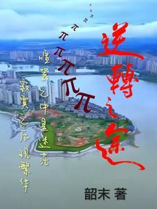 逆转之轮第一季