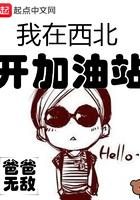 我在西北开加油站有女主吗