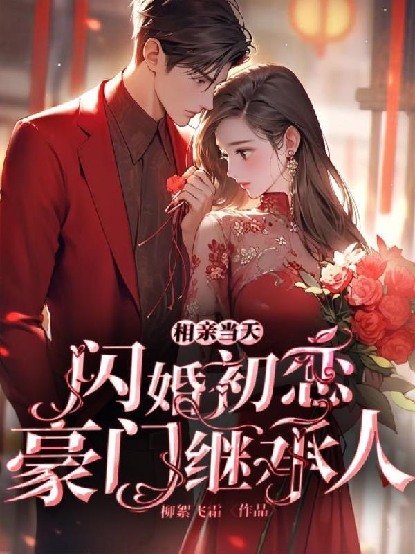相亲闪婚言情