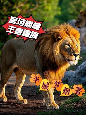 官场巅峰免费