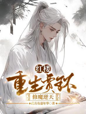 红楼重生贾琮