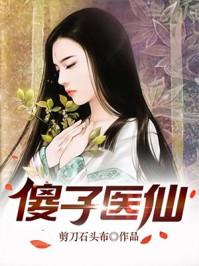 傻子医仙境界介绍