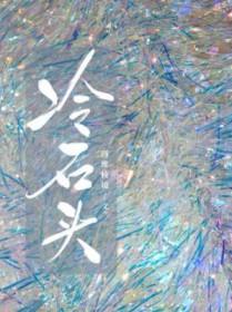 冷石头全文阅读
