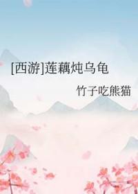 藕炖乌鸡
