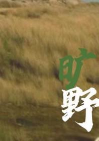 旷野之境电视剧在线观看免费