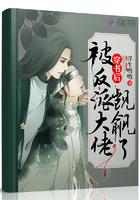 穿书后我被反派大佬惦记