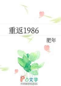 重返1986全集免费播放