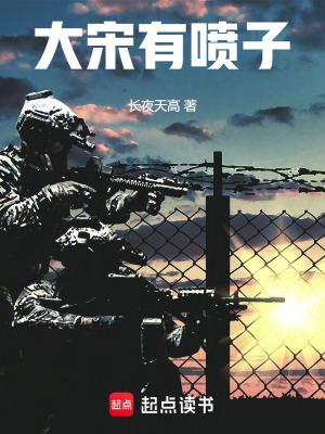 d大宋有种