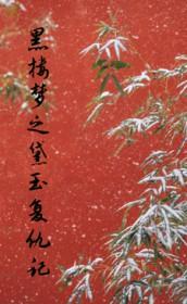 黛玉复仇的