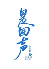 是回声吗绘画