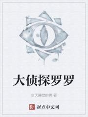 大侦探波罗经典集数