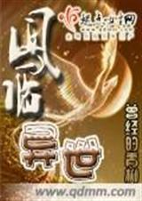风临异世阅读