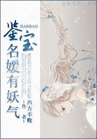 鉴宝有术全文免费读