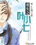 重生之叶小七无广告版
