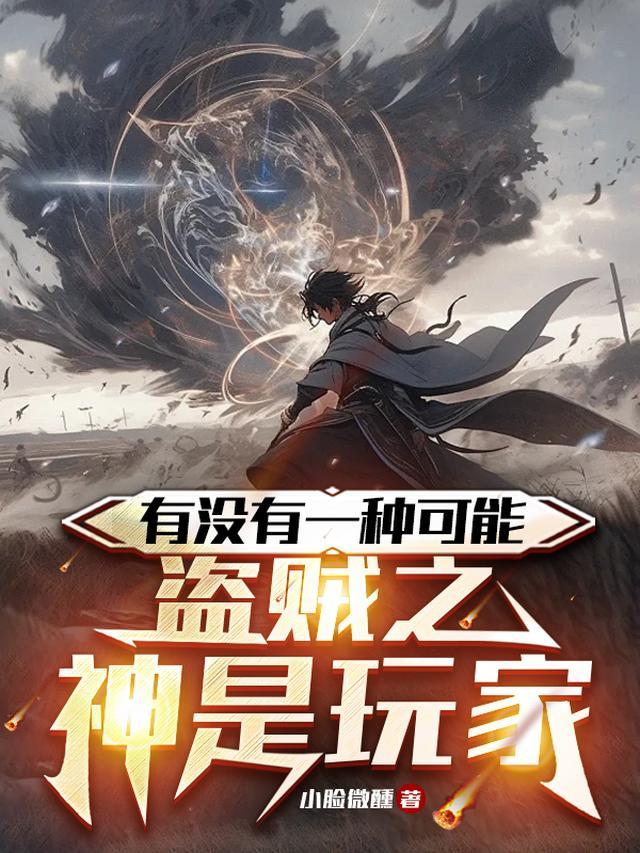 盗贼是干嘛的