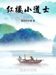红楼小道士