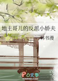 地主哥儿的反派小娇夫