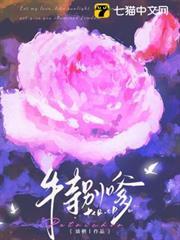 不务正夜