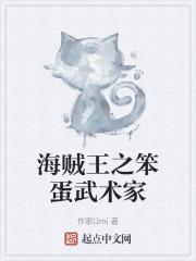 海贼王之笨蛋武术家